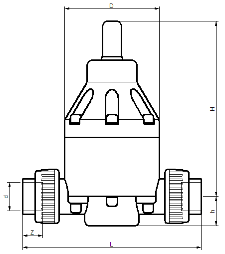 CPVC塑料背压阀2.png